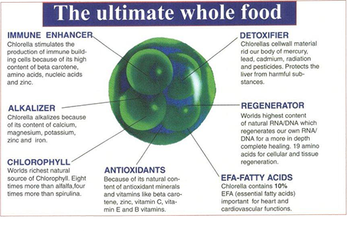 Chlorella Voordelen