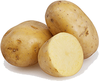 Aardappel